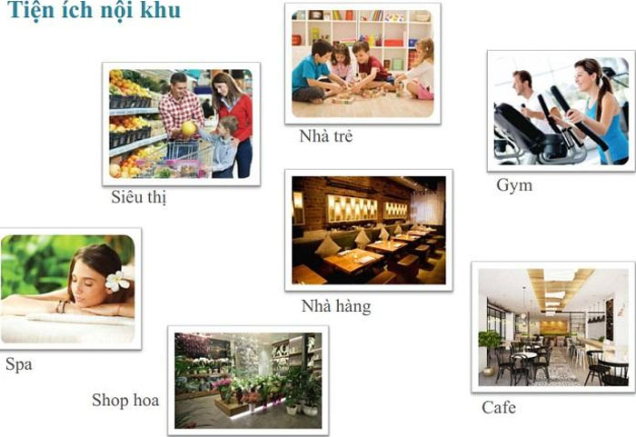 hình anh